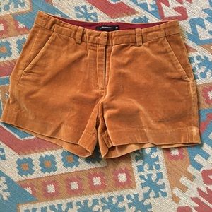 Velvet winter shorts